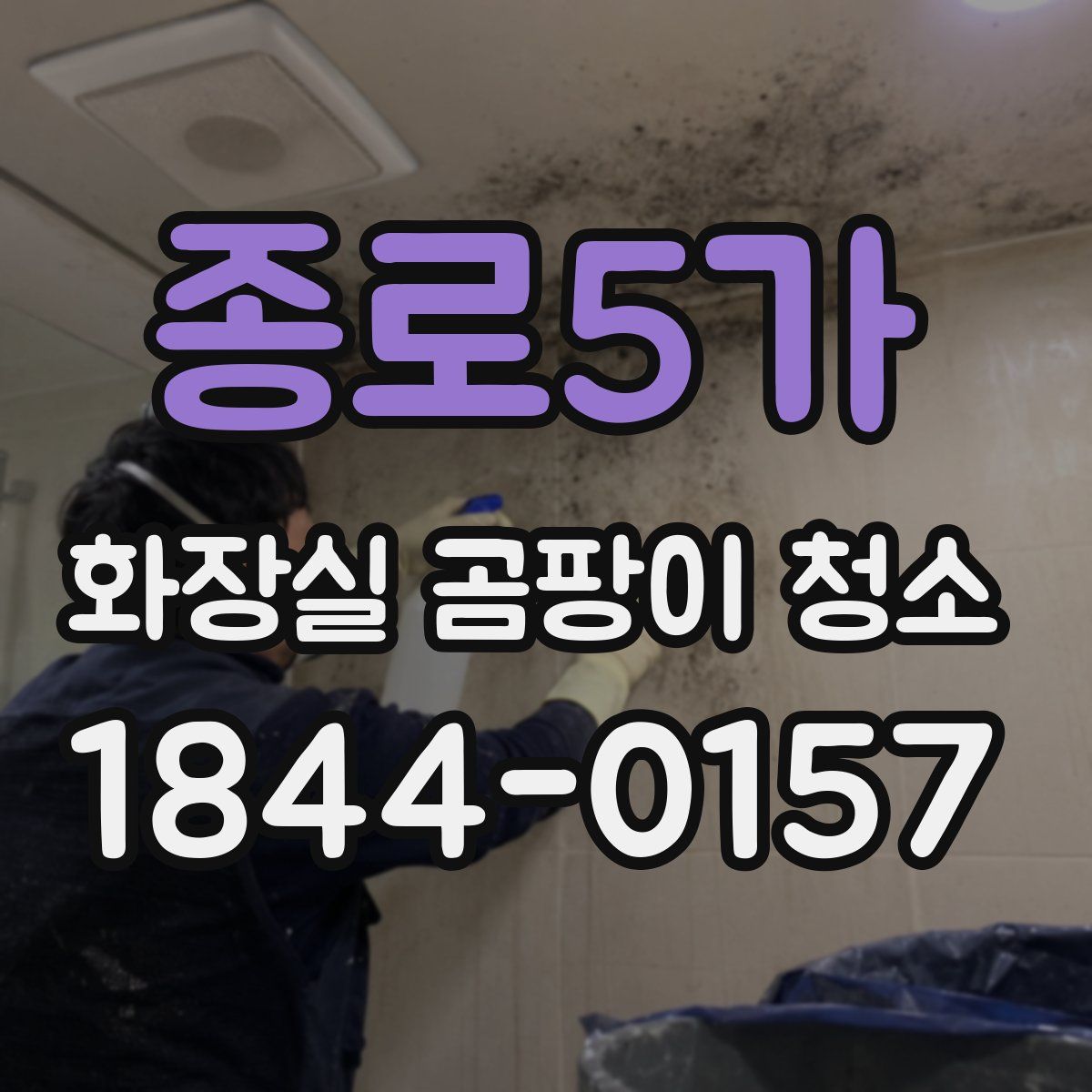 종로5가 화장실 곰팡이 청소