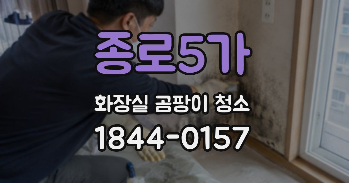종로5가 화장실 곰팡이 청소