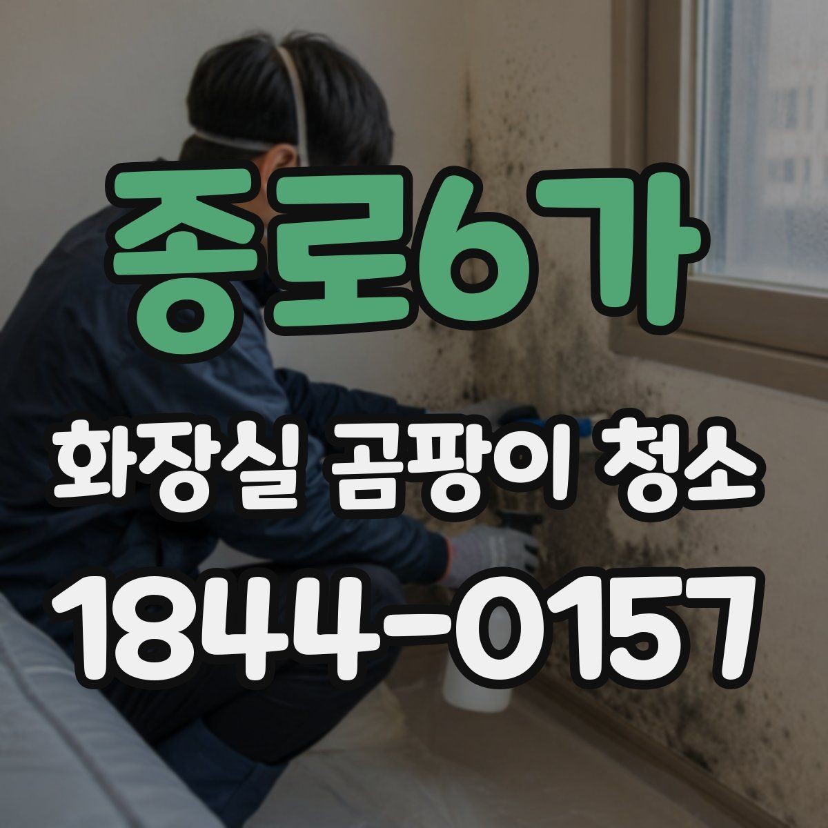 종로6가 화장실 곰팡이 청소 전 오염도와 범위를 확인하는 방법