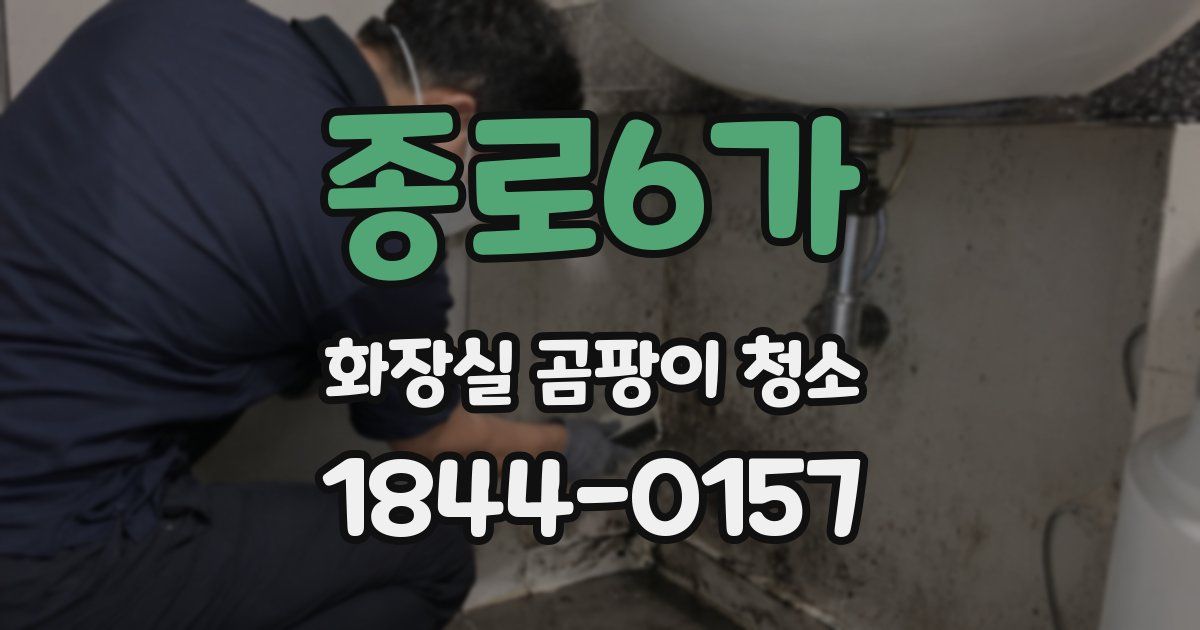 종로6가 화장실 곰팡이 청소