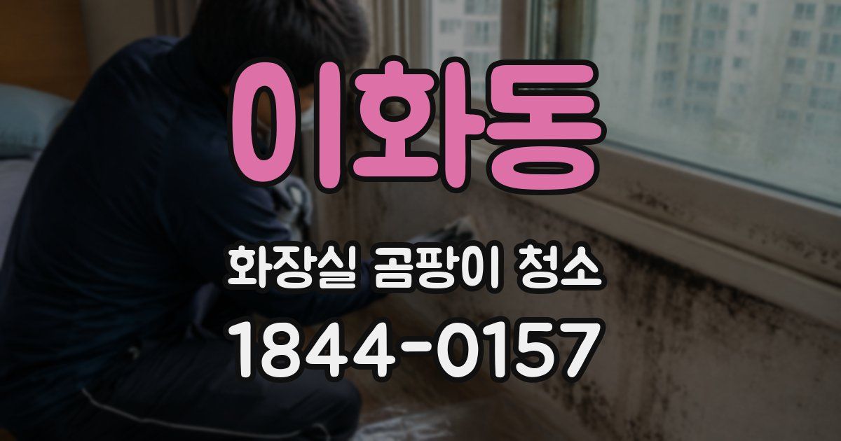 이화동 화장실 곰팡이 청소