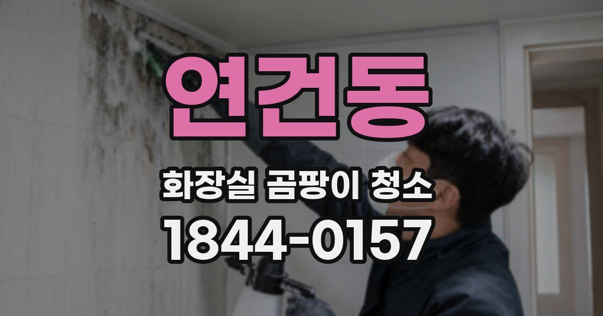 연건동 화장실 곰팡이 청소