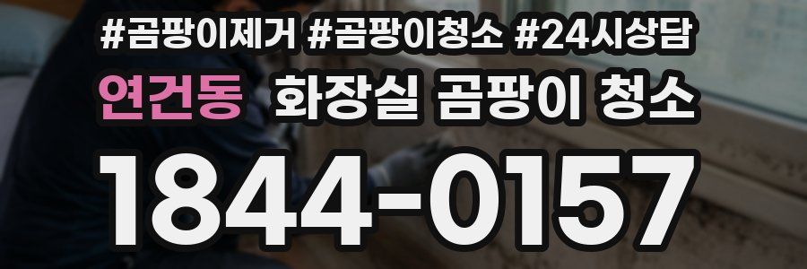 연건동 화장실 곰팡이 청소
