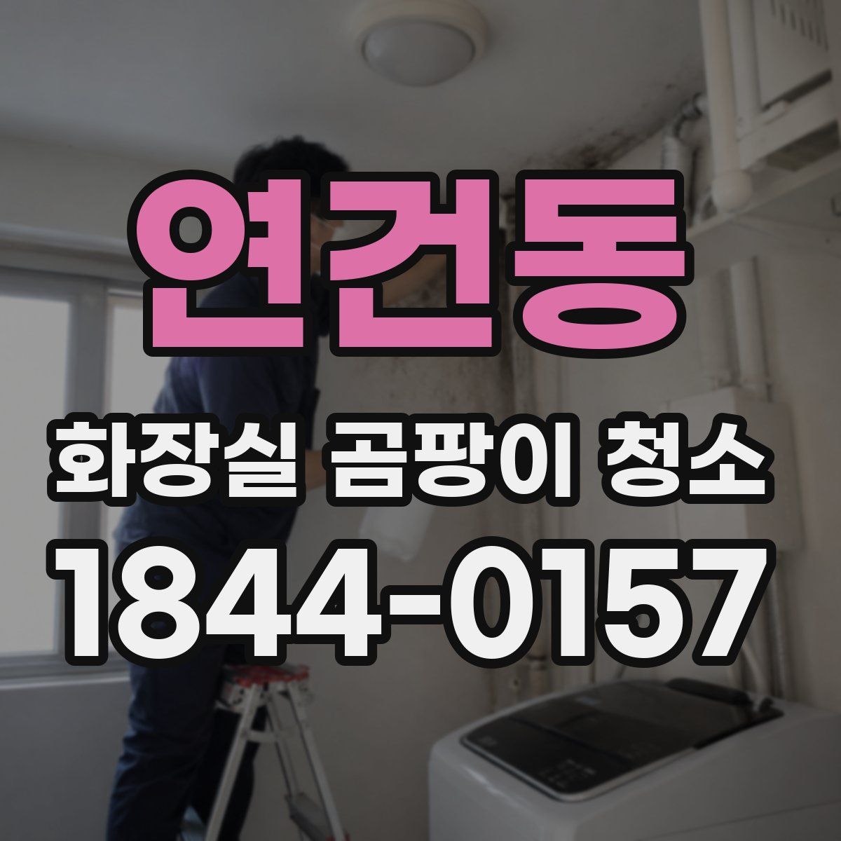 연건동 화장실 곰팡이 청소