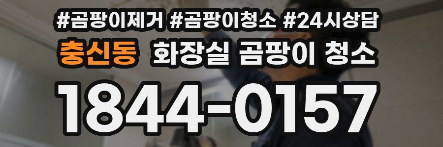 충신동 화장실 곰팡이 청소