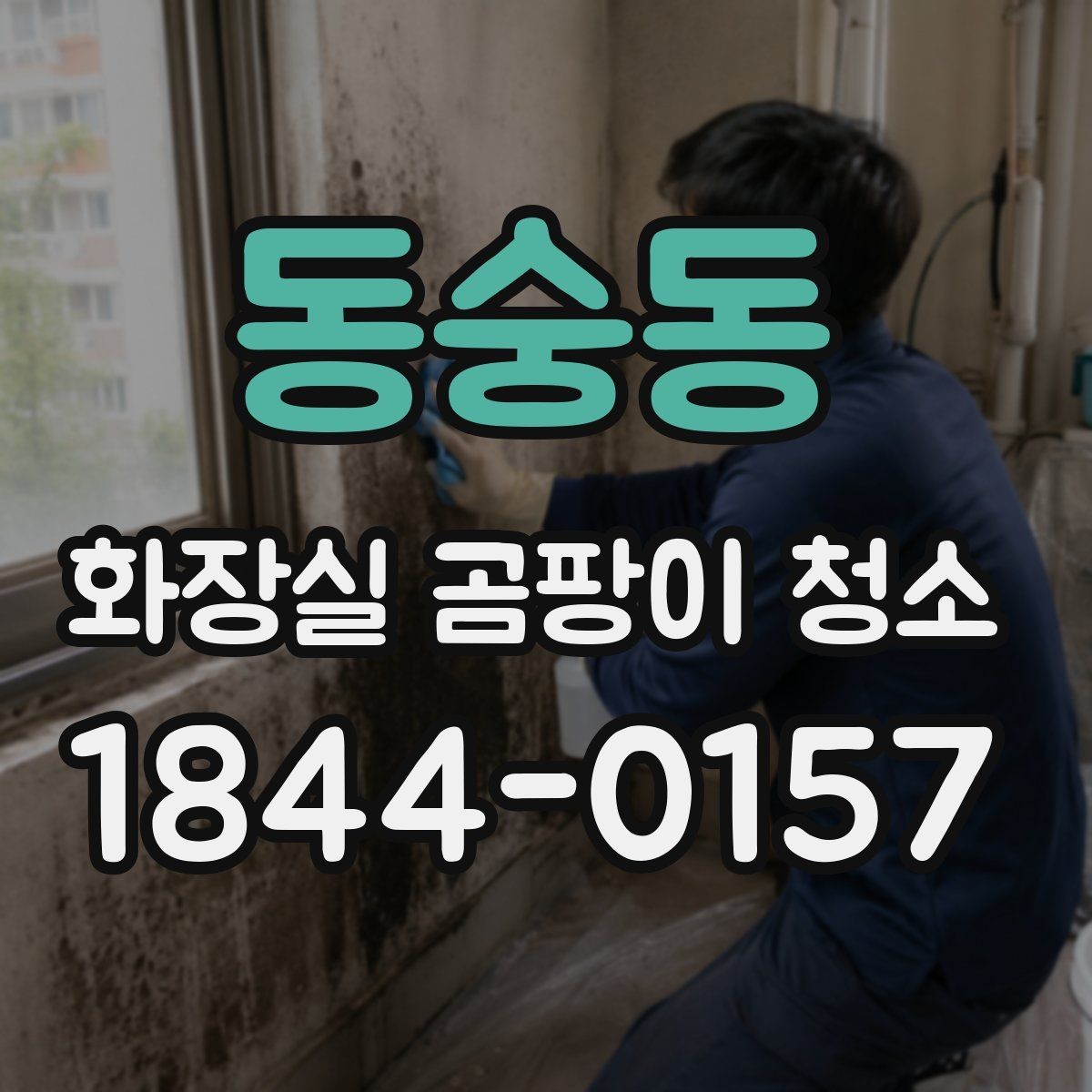 동숭동 화장실 곰팡이 청소 반복 오염을 줄이는 점검 항목