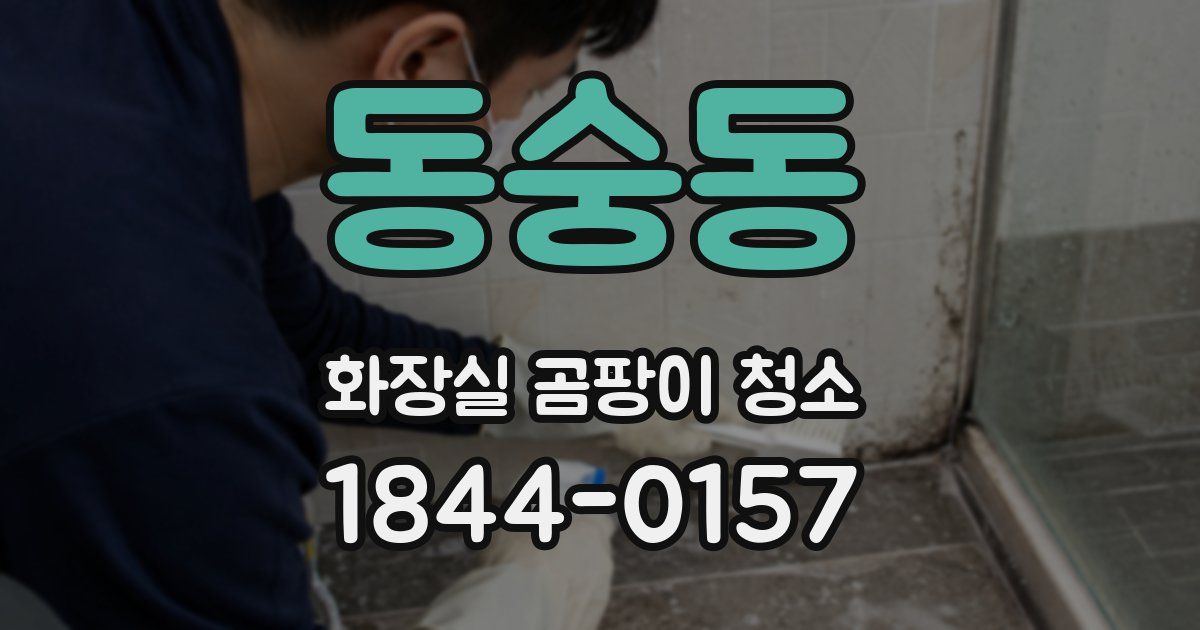 동숭동 화장실 곰팡이 청소