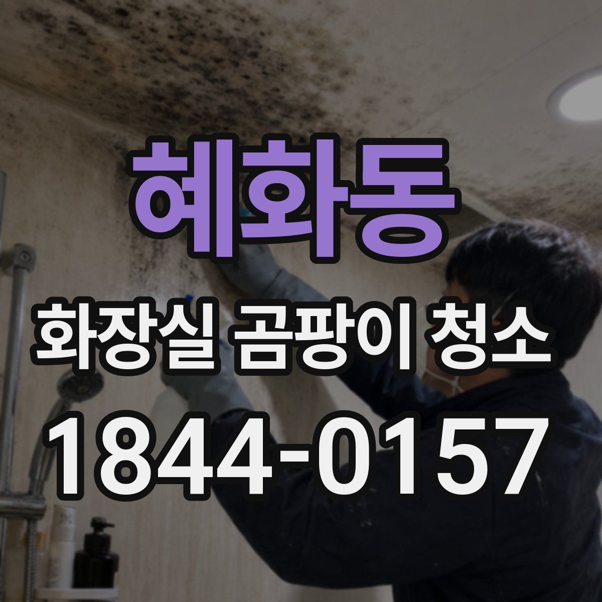 혜화동 화장실 곰팡이 청소