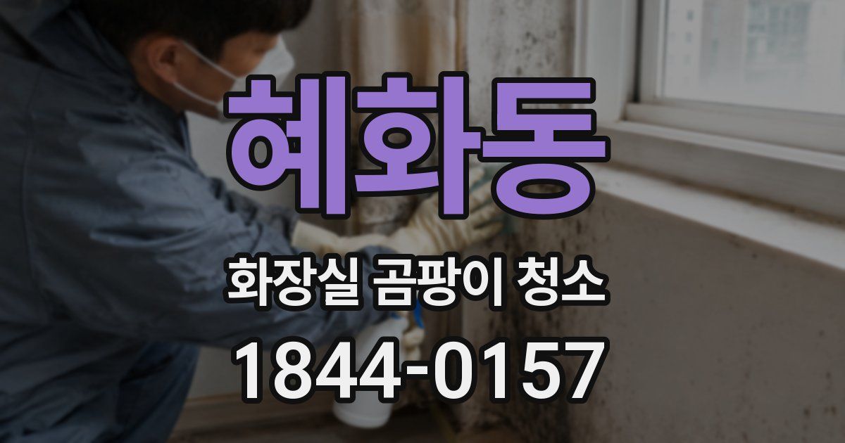 혜화동 화장실 곰팡이 청소