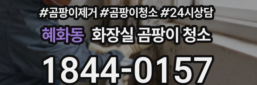 혜화동 화장실 곰팡이 청소