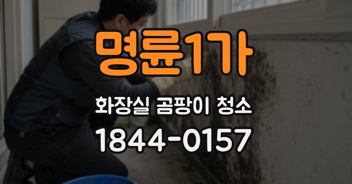 명륜1가 화장실 곰팡이 청소