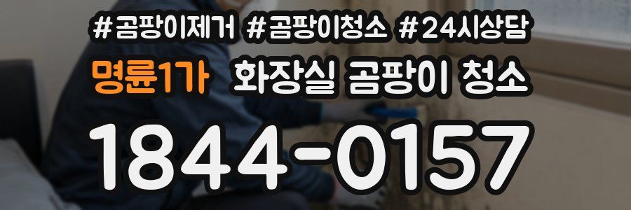 명륜1가 화장실 곰팡이 청소