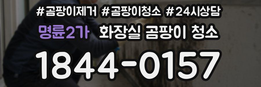 명륜2가 화장실 곰팡이 청소