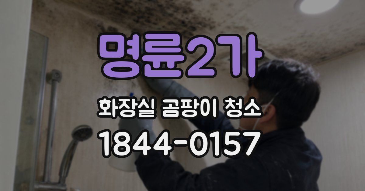 명륜2가 화장실 곰팡이 청소