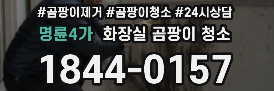 명륜4가 화장실 곰팡이 청소