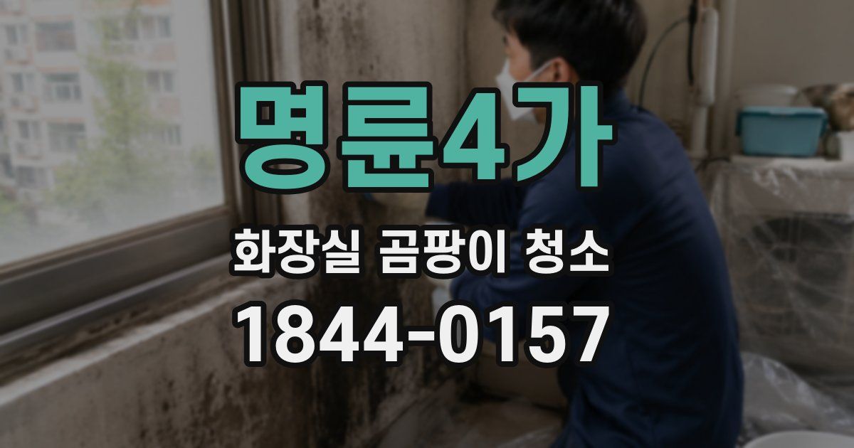 명륜4가 화장실 곰팡이 청소