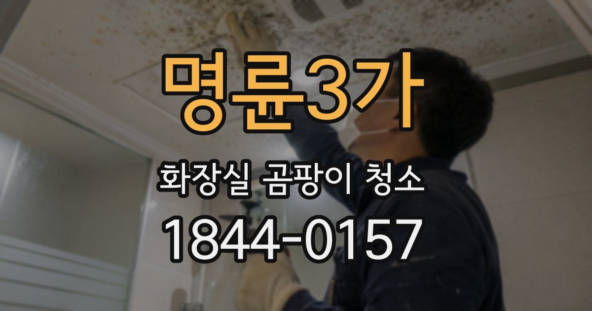 명륜3가 화장실 곰팡이 청소