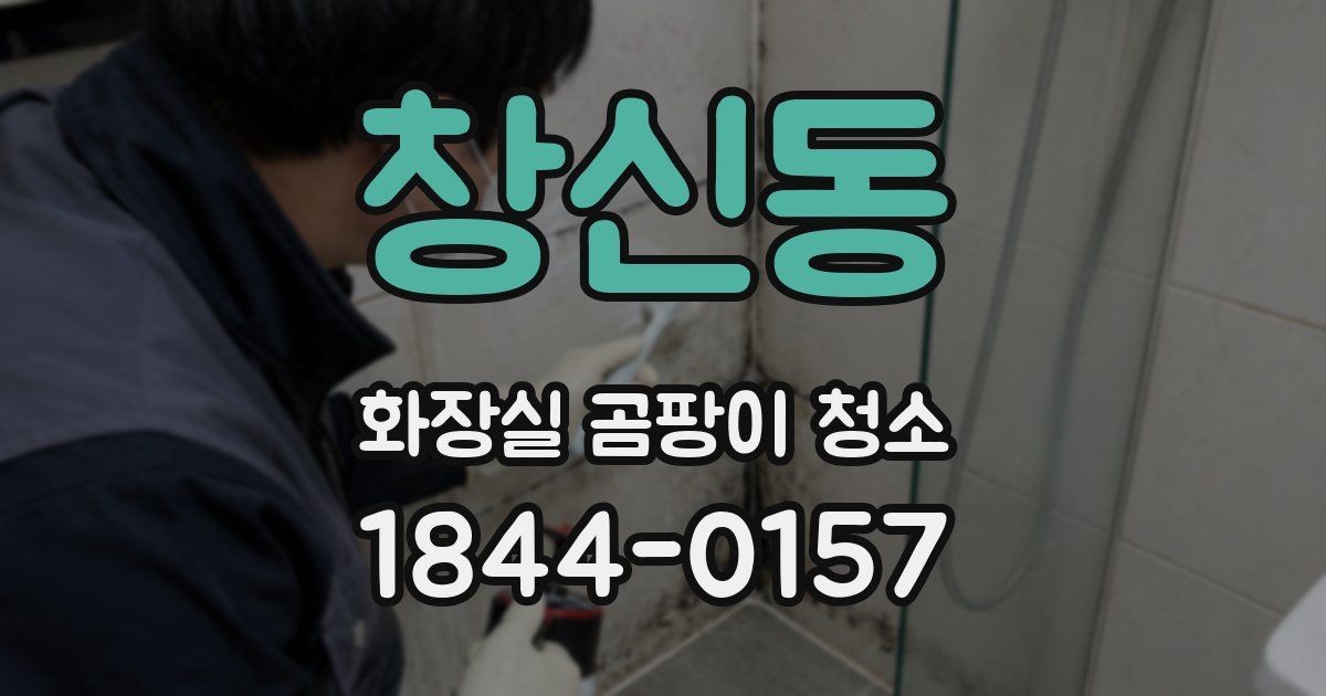 창신동 화장실 곰팡이 청소