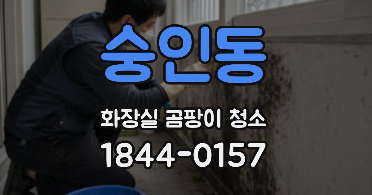 숭인동 화장실 곰팡이 청소