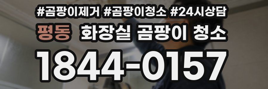 평동 화장실 곰팡이 청소
