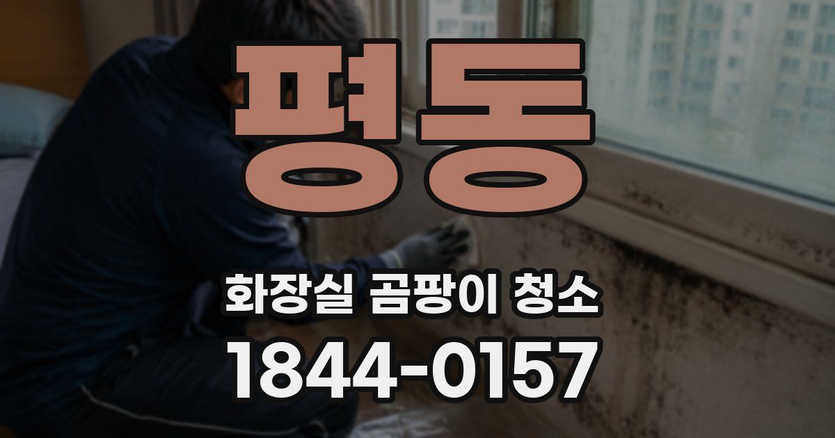 평동 화장실 곰팡이 청소