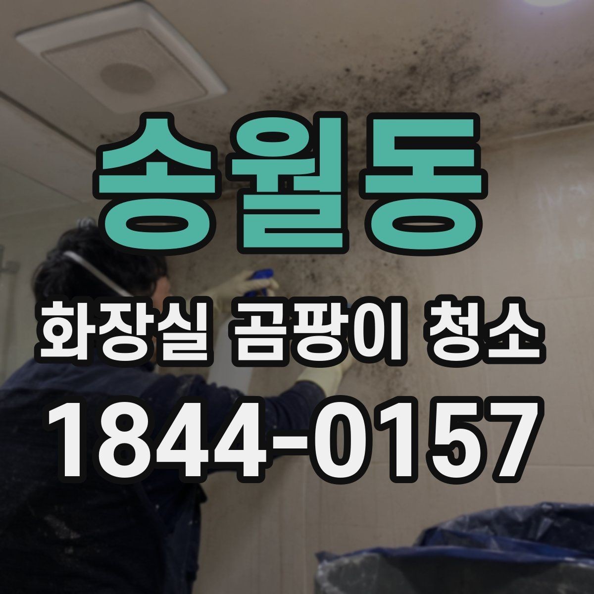 송월동 화장실 곰팡이 청소 세제 선택 전에 함께 보면 좋은 점