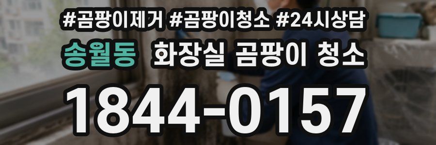 송월동 화장실 곰팡이 청소