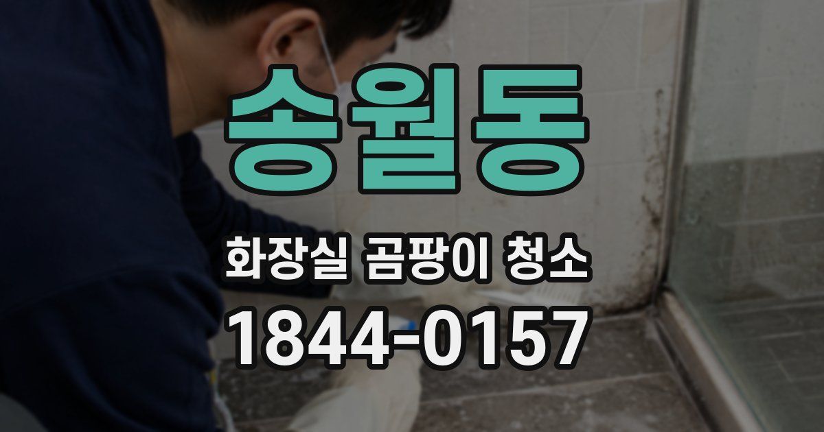 송월동 화장실 곰팡이 청소