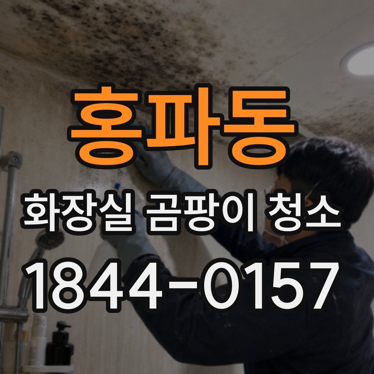 홍파동 화장실 곰팡이 청소 뒤 재발 흔한 장소와 점검법