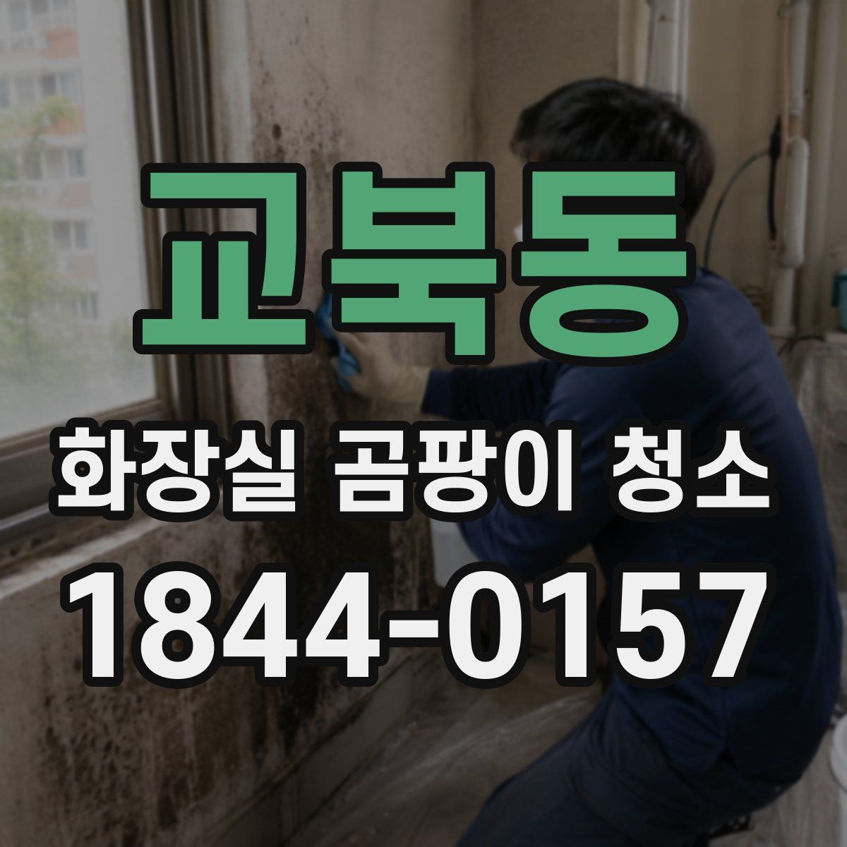 교북동 화장실 곰팡이 청소
