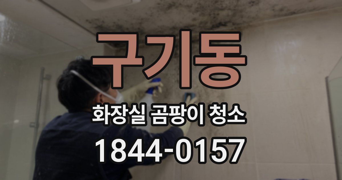 구기동 화장실 곰팡이 청소