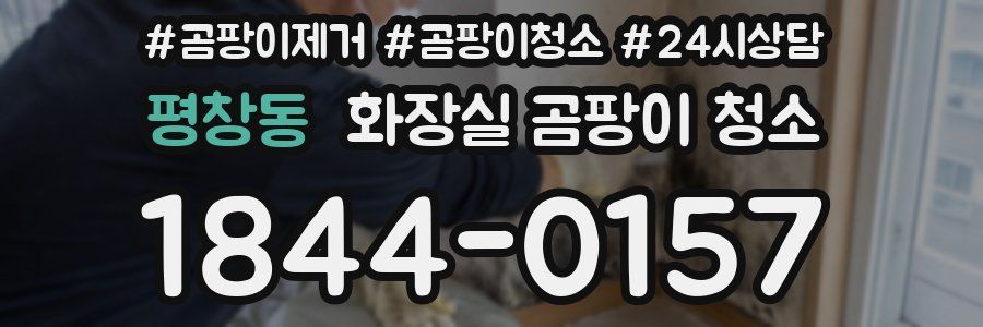 평창동 화장실 곰팡이 청소
