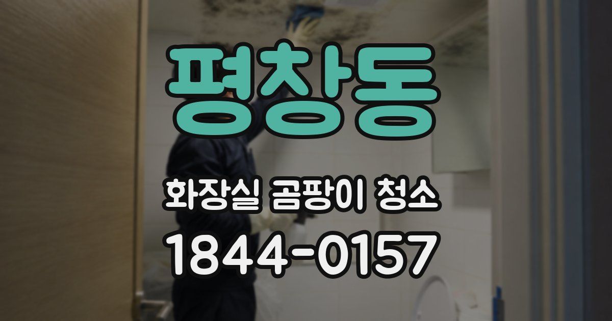 평창동 화장실 곰팡이 청소