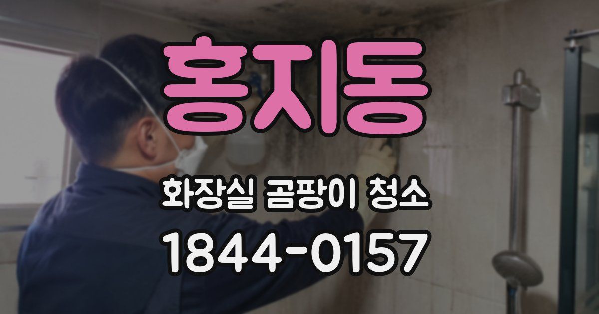 홍지동 화장실 곰팡이 청소