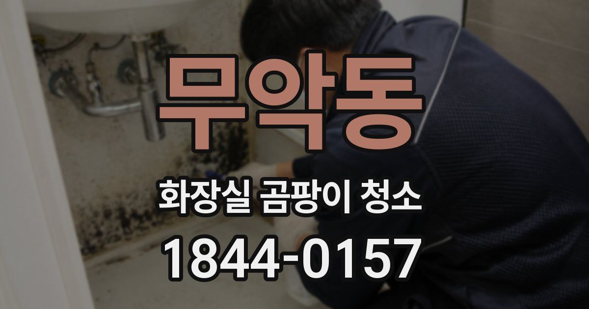 무악동 화장실 곰팡이 청소