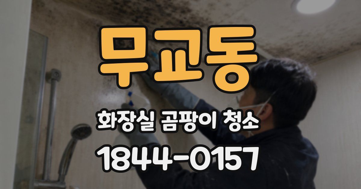 무교동 화장실 곰팡이 청소