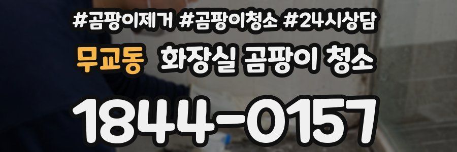 무교동 화장실 곰팡이 청소