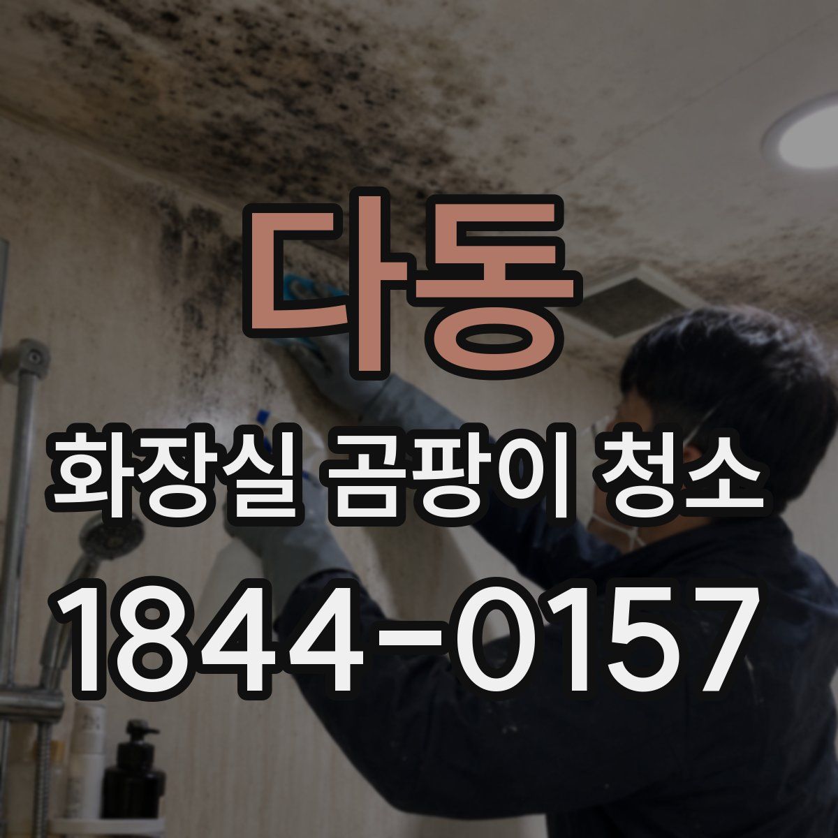 다동 화장실 곰팡이 청소