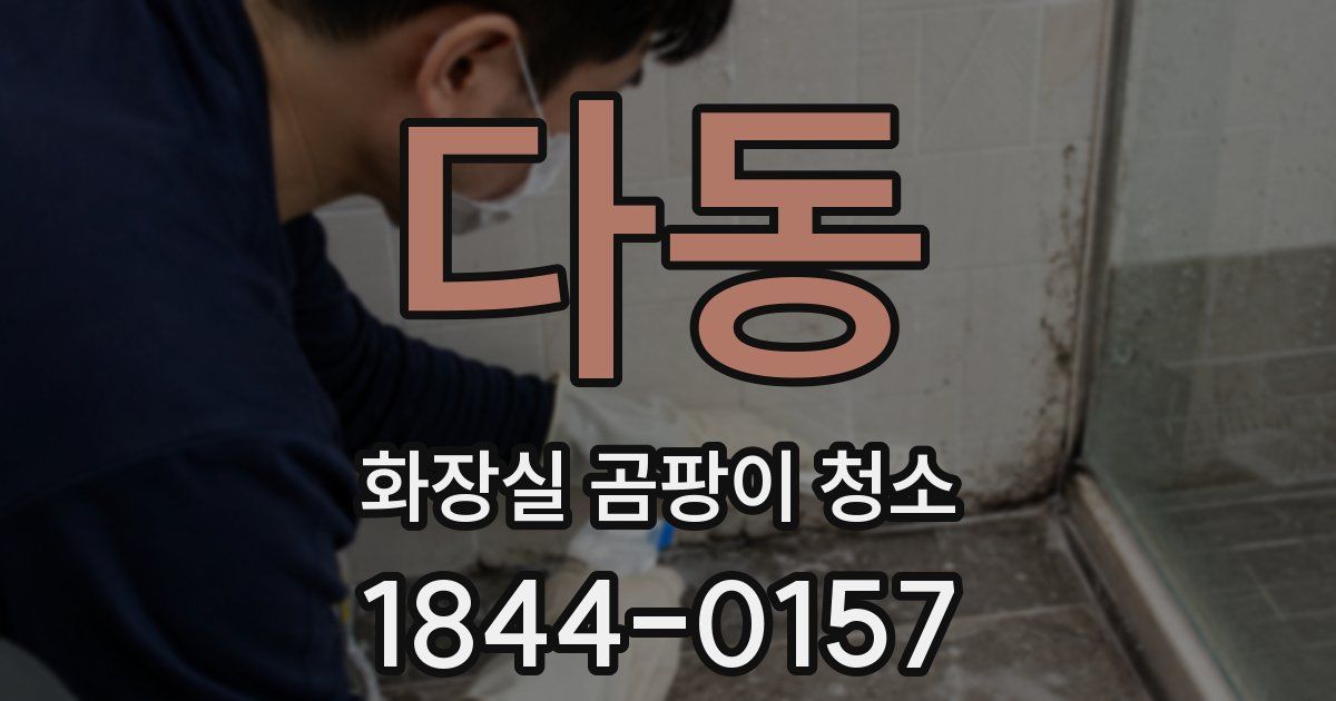다동 화장실 곰팡이 청소