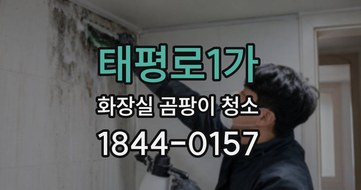 태평로1가 화장실 곰팡이 청소