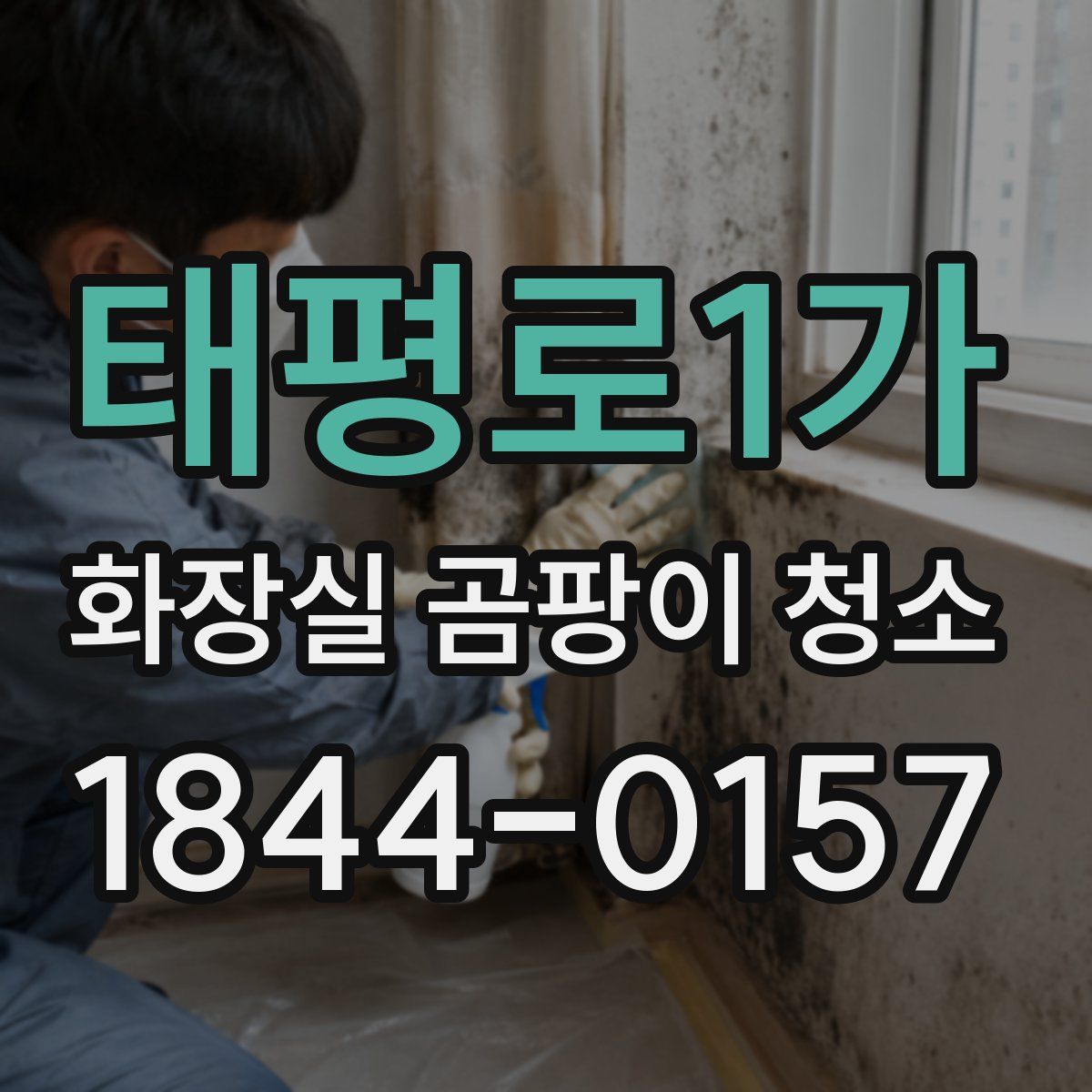 태평로1가 화장실 곰팡이 청소
