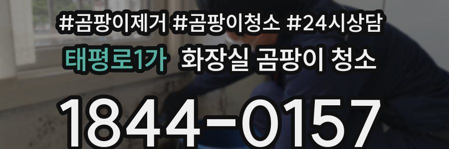 태평로1가 화장실 곰팡이 청소
