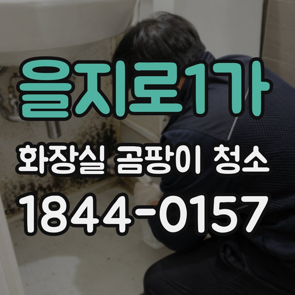 을지로1가 화장실 곰팡이 청소