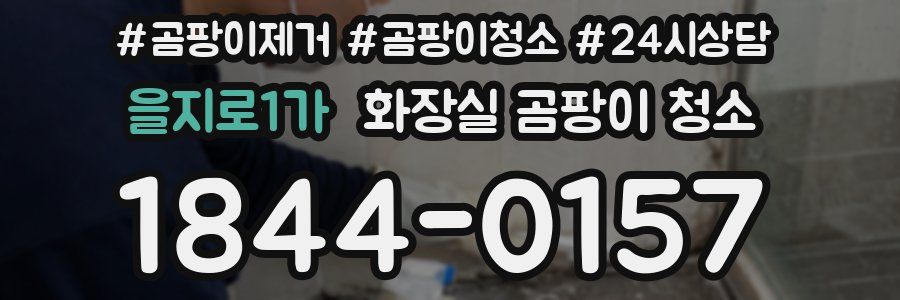 을지로1가 화장실 곰팡이 청소