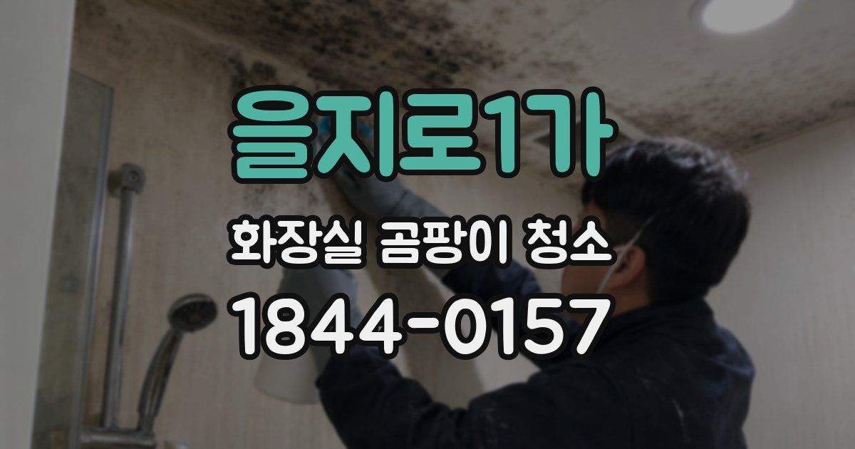 을지로1가 화장실 곰팡이 청소