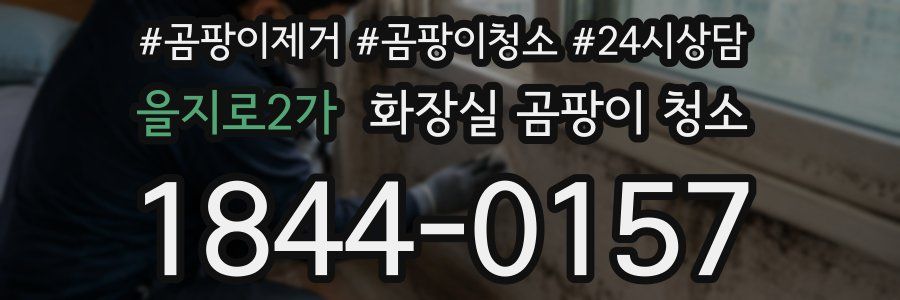 을지로2가 화장실 곰팡이 청소