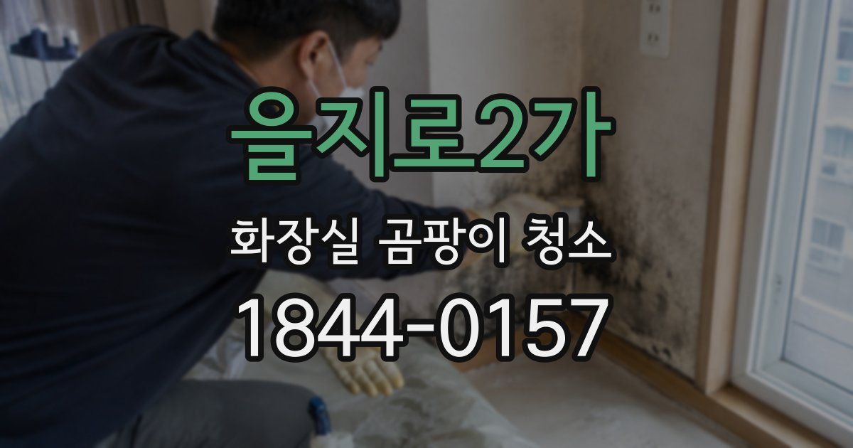 을지로2가 화장실 곰팡이 청소
