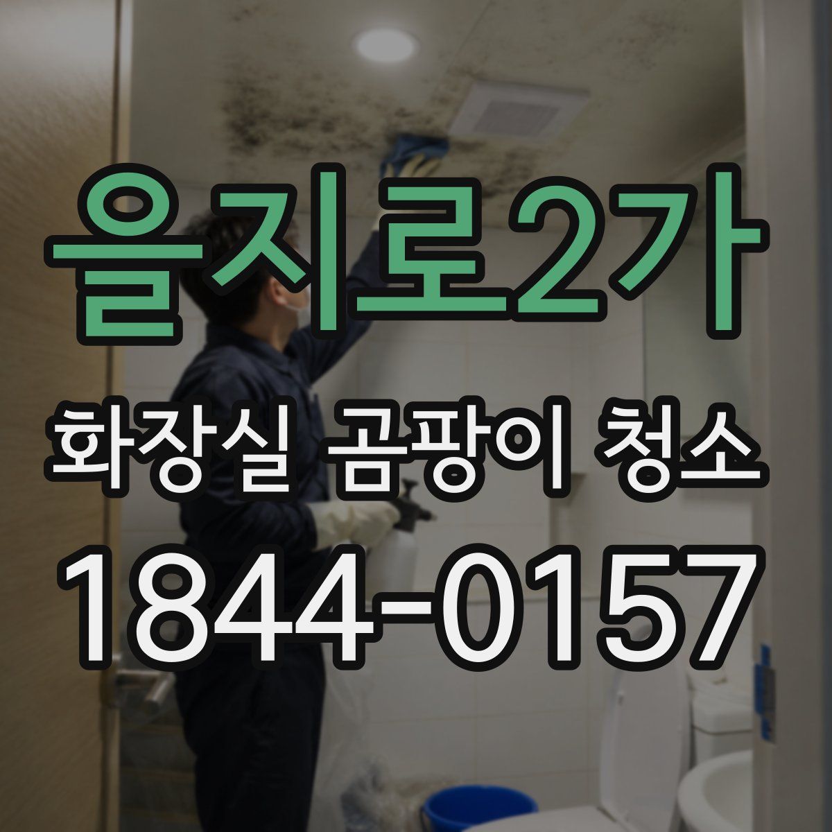을지로2가 화장실 곰팡이 청소