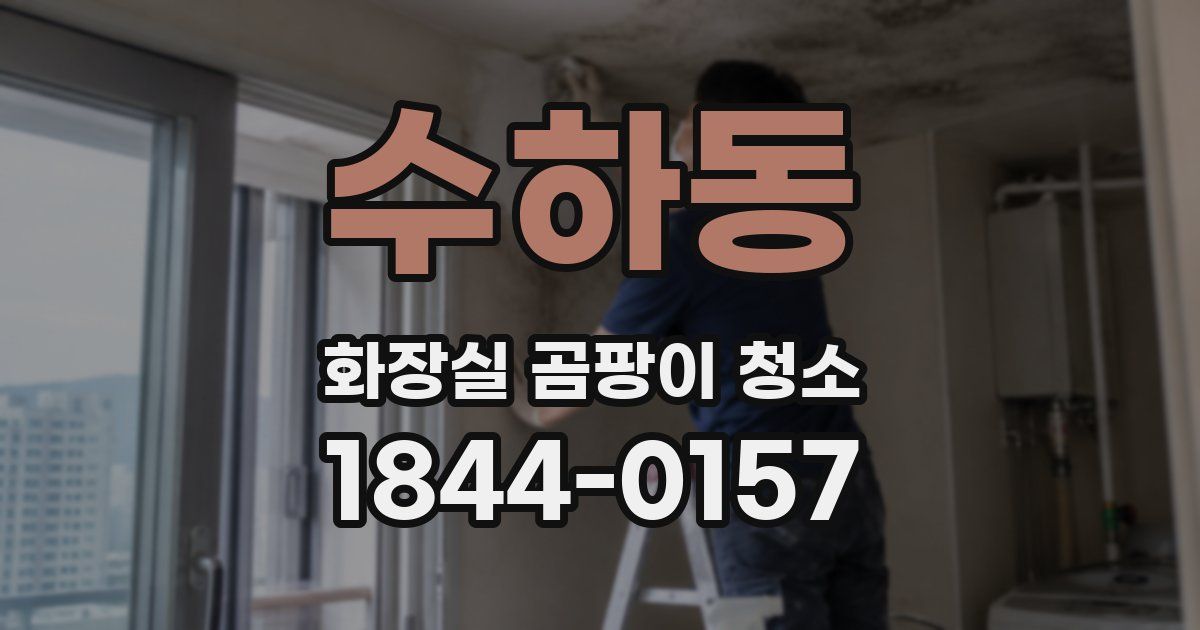 수하동 화장실 곰팡이 청소