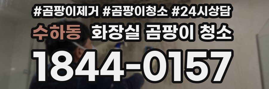 수하동 화장실 곰팡이 청소